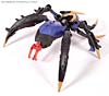 Transformers Animated Blackarachnia - Image #25 of 126
