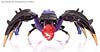 Transformers Animated Blackarachnia - Image #27 of 126