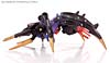 Transformers Animated Blackarachnia - Image #29 of 126