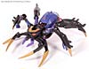 Transformers Animated Blackarachnia - Image #31 of 126