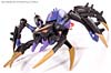 Transformers Animated Blackarachnia - Image #33 of 126