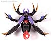 Transformers Animated Blackarachnia - Image #37 of 126
