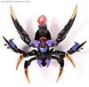 Transformers Animated Blackarachnia - Image #38 of 126