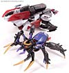 Transformers Animated Blackarachnia - Image #42 of 126