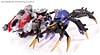 Transformers Animated Blackarachnia - Image #44 of 126