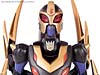 Transformers Animated Blackarachnia - Image #59 of 126