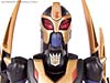Transformers Animated Blackarachnia - Image #60 of 126