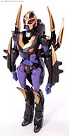 Transformers Animated Blackarachnia - Image #72 of 126