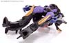 Transformers Animated Blackarachnia - Image #77 of 126