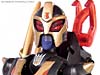 Transformers Animated Blackarachnia - Image #81 of 126