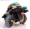 Transformers Animated Samurai Prowl - Image #32 of 122