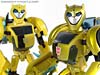 Transformers Animated Bumblebee - Image #97 of 115