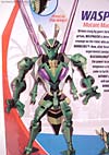 Transformers Animated Waspinator - Image #9 of 110