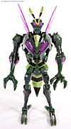 Transformers Animated Waspinator - Image #53 of 110