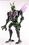 Transformers Animated Waspinator - Image #65 of 110