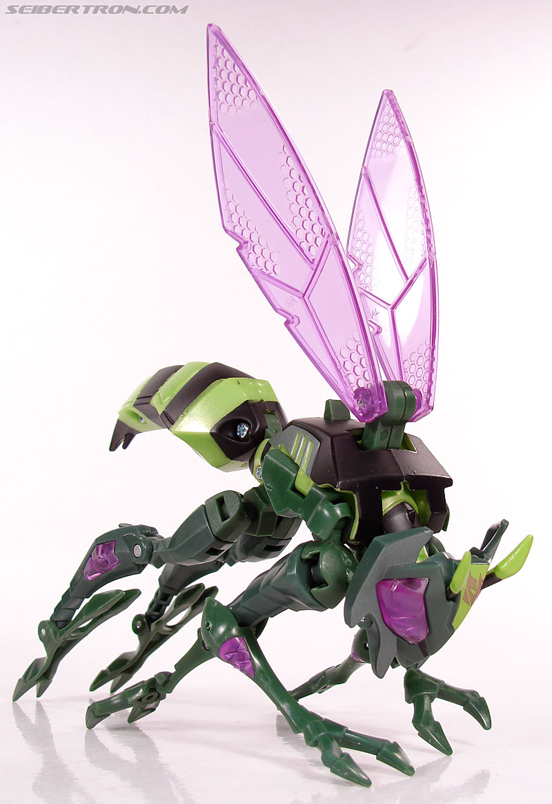Transformers Animated Waspinator (Wasp) (Image #44 of 110)