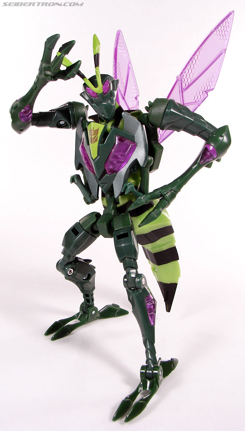 Transformers Animated Waspinator (Wasp) (Image #79 of 110)