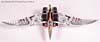Smallest Transformers Swoop - Image #24 of 148