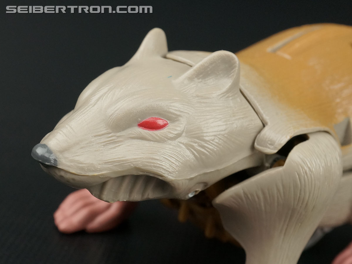 Transformers Beast Wars Rattrap (Rattle) (Image #43 of 111)