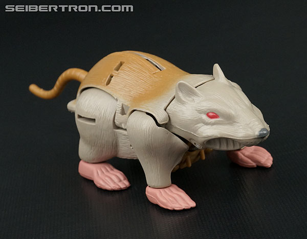 Transformers News: Re: New Galleries: Transformers Beast Wars, Beast Wars II, Neo, and Beast Machines