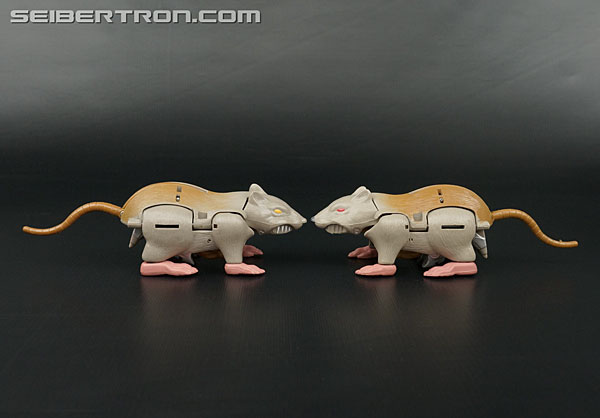 Transformers News: Re: New Galleries: Transformers Beast Wars, Beast Wars II, Neo, and Beast Machines