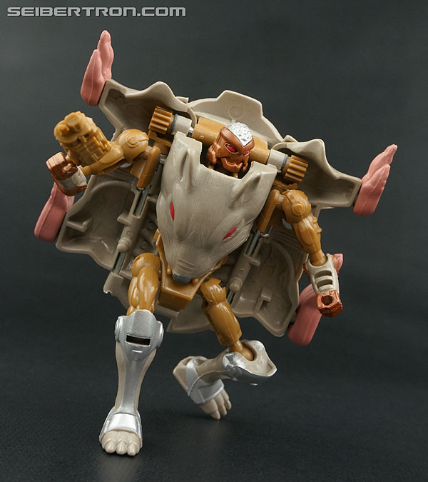 Transformers News: Re: New Galleries: Transformers Beast Wars, Beast Wars II, Neo, and Beast Machines