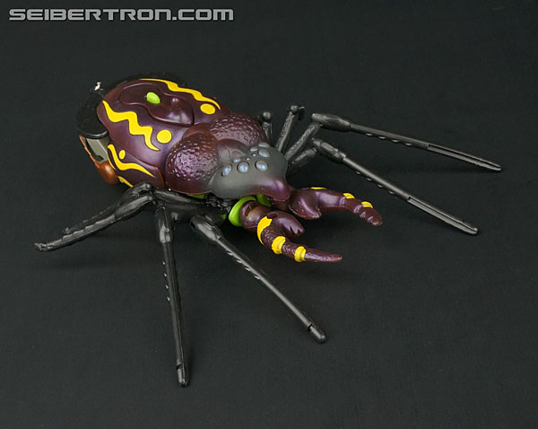 Transformers News: New Galleries: Takara Beast Wars D-4 Tarantulas and D-8 Blackarachnia Transformers News: New Galleries: Takara Beast Wars D-4 Tarantulas and D-8 Blackarachnia