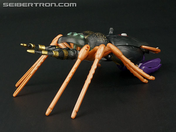 Transformers Beast Wars Blackarachnia (Black Widow) (Image #36 of 149)