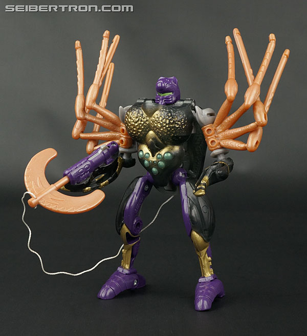 Transformers Beast Wars Blackarachnia (Black Widow) (Image #115 of 149)