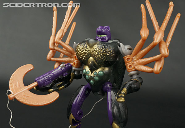 Transformers Beast Wars Blackarachnia (Black Widow) (Image #119 of 149)