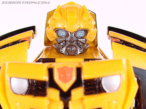 Bumblebee