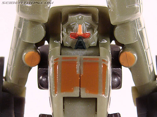 Springer