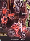 Transformers Revenge of the Fallen Arcee - Image #4 of 86