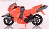 Transformers Revenge of the Fallen Arcee - Image #31 of 86