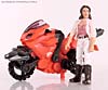 Transformers Revenge of the Fallen Arcee - Image #36 of 86