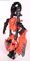 Transformers Revenge of the Fallen Arcee - Image #52 of 86