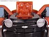 Transformers Revenge of the Fallen Rally Mudflap - Image #33 of 70