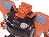 Transformers Revenge of the Fallen Rally Mudflap - Image #54 of 70