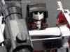 e-Hobby Exclusives Megatron (Black Version) - Image #53 of 219