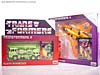 e-Hobby Exclusives Sunstorm - Image #1 of 54