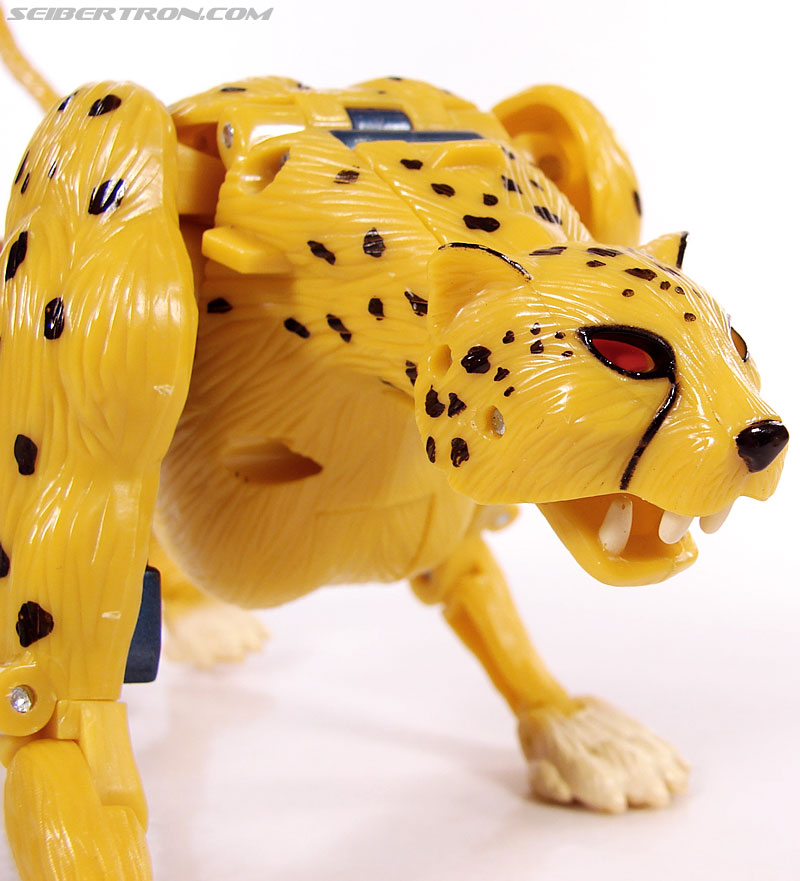 Transformers Universe - Classics 2.0 Cheetor (Image #57 of 124)