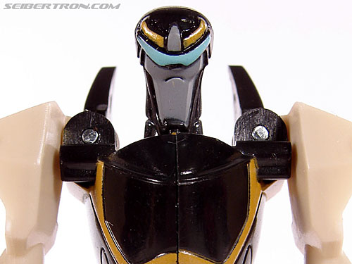 Prowl