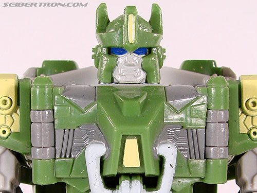 Springer
