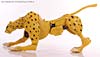 Universe - Classics 2.0 Cheetor - Image #33 of 124