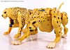 Universe - Classics 2.0 Cheetor - Image #41 of 124