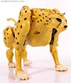 Universe - Classics 2.0 Cheetor - Image #45 of 124
