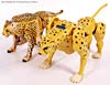 Universe - Classics 2.0 Cheetor - Image #48 of 124
