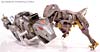 Universe - Classics 2.0 Dinobot - Image #61 of 181