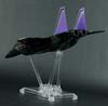 Universe - Classics 2.0 Skywarp - Image #48 of 224