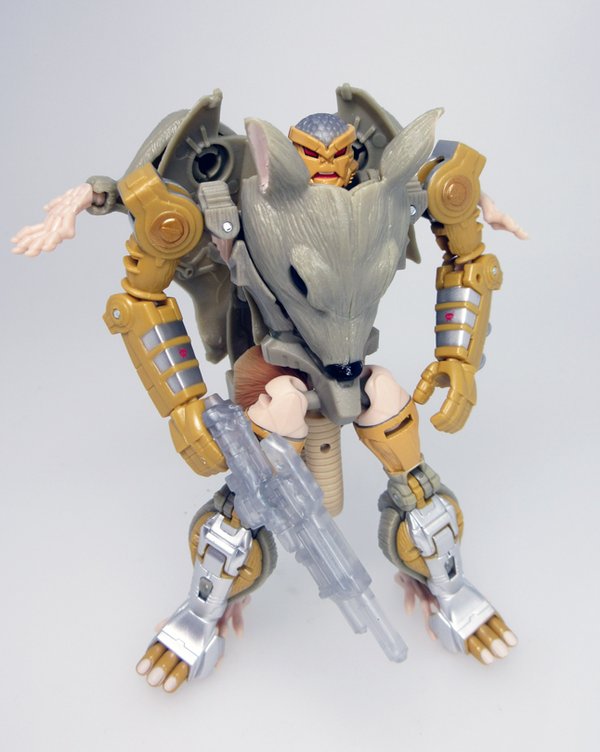 Transformers News: Detailed Pictures of Exclusive Beast Wars 20th Anniversary Transformers Figures from Takara